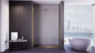 Душевая дверь Veconi Premium Trento PTDW-50G, 1500x2000, брашированное золото, стекло прозрачное